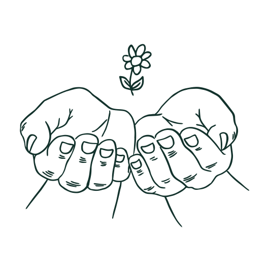 Custom Illustrations