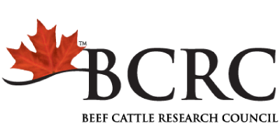 Beef Cattle Research Logo