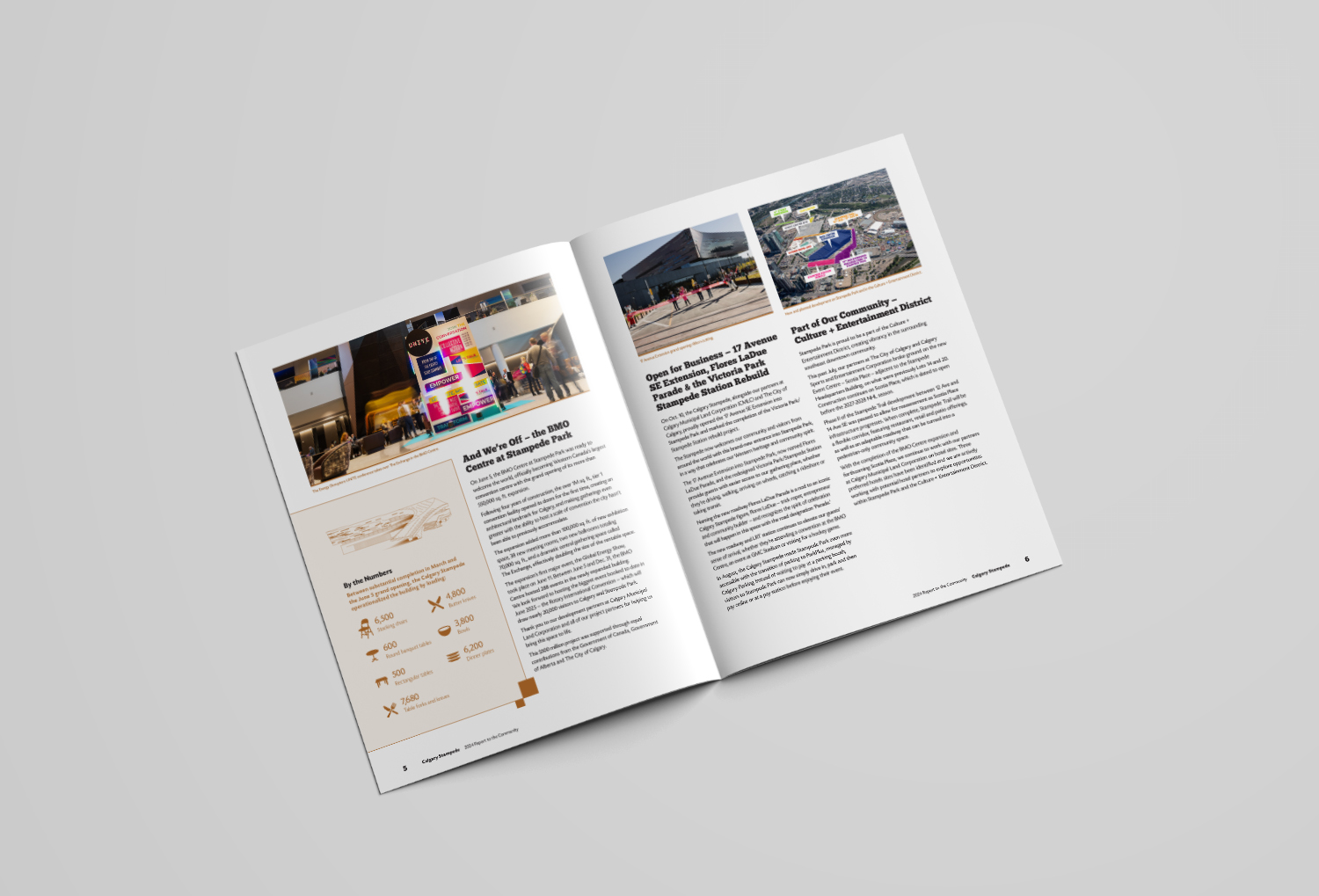 Calgary Stampeded Mockup 3