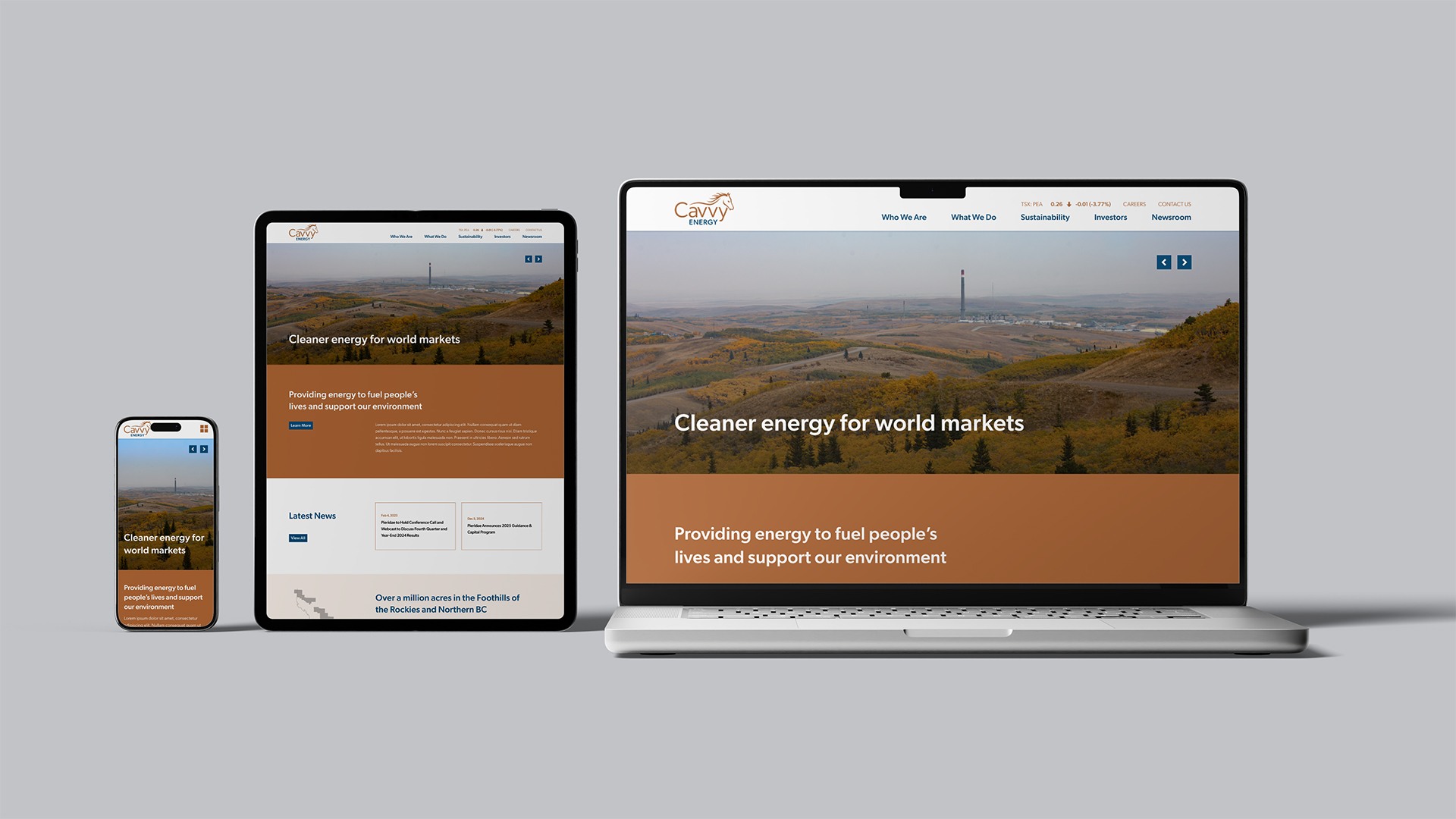 cavvy mobile, tablet and desktop