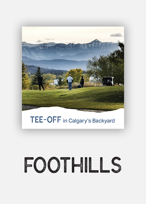 Calgary's Backyard Campaign