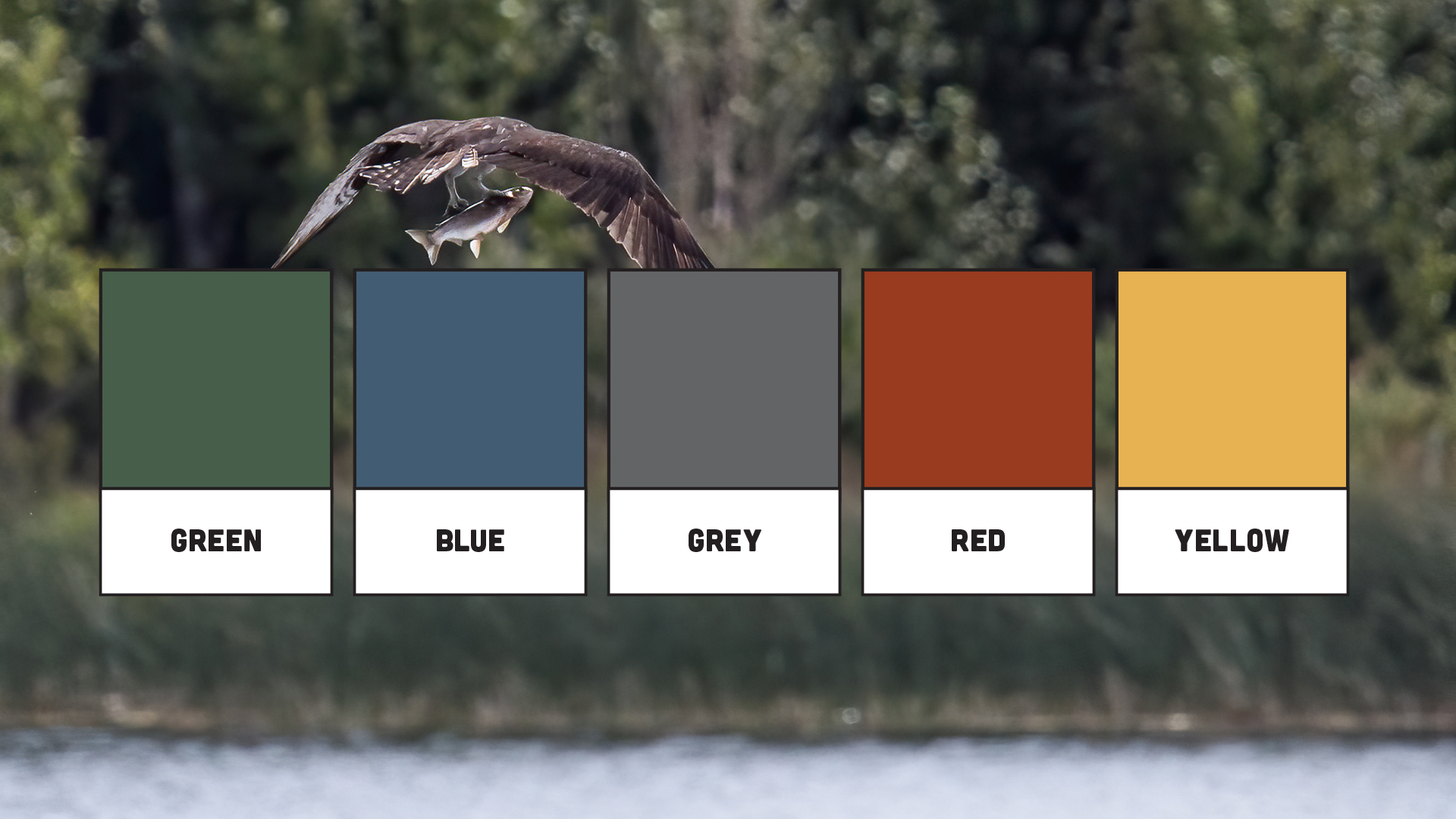 South Canadian Rockies Color Brand
