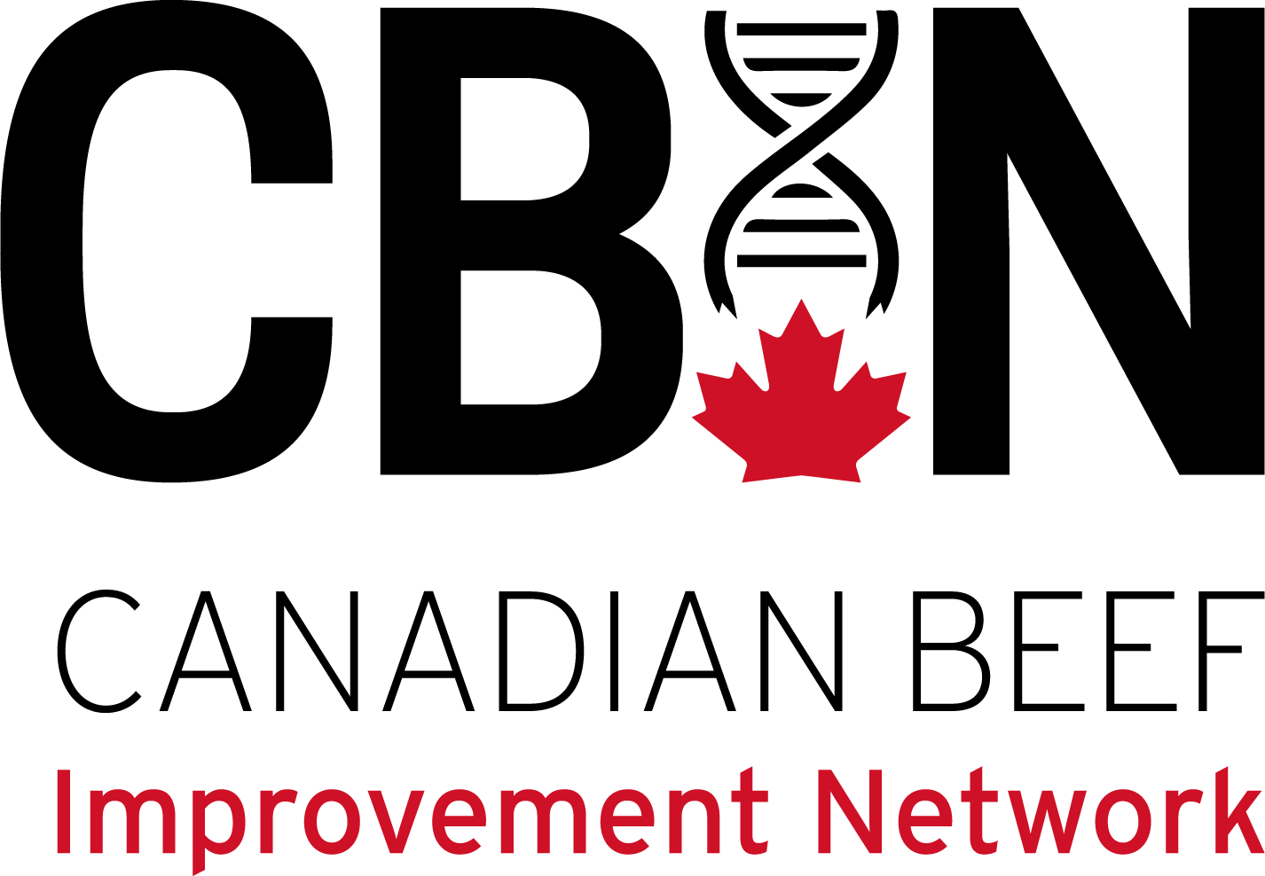 Canadian Beef Improvement Network Logo