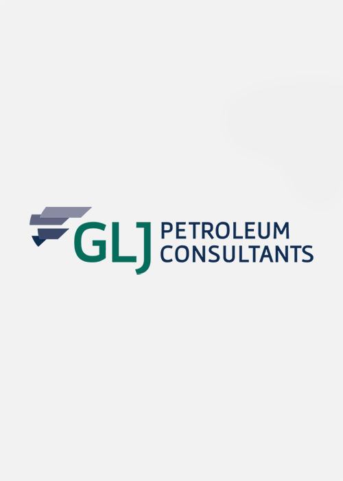 Logo Identity