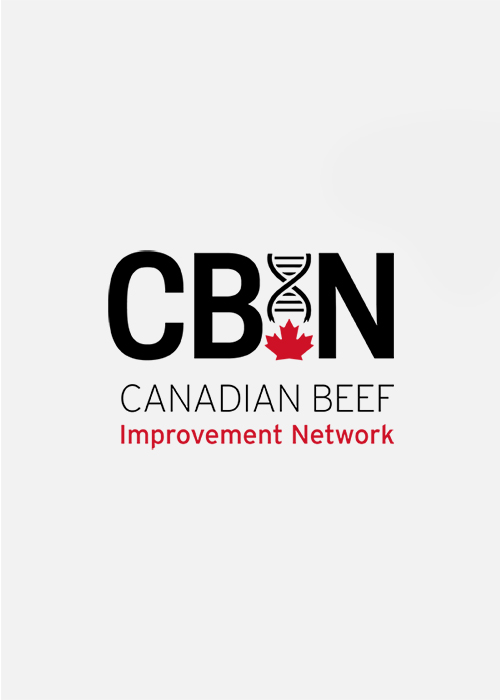Logo Identity