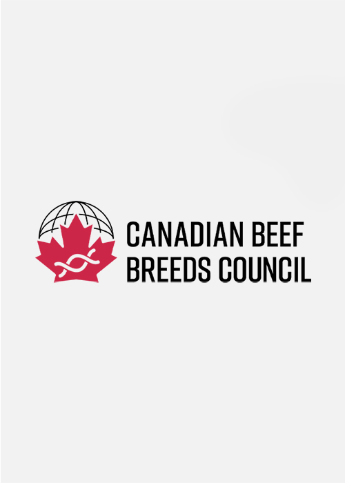 Logo Identity