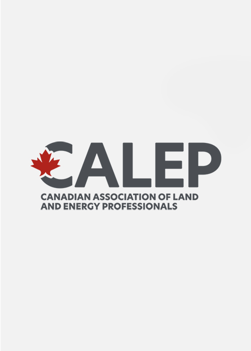 Logo Identity