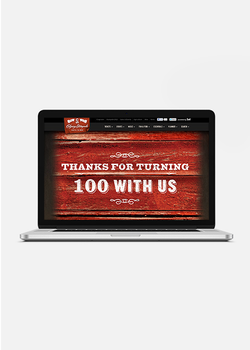 Website Redesign