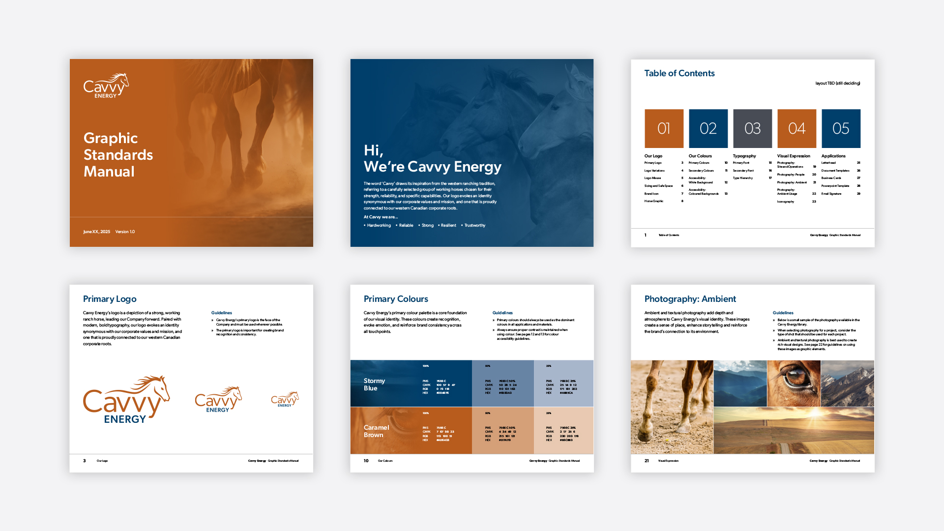 cavvy branding